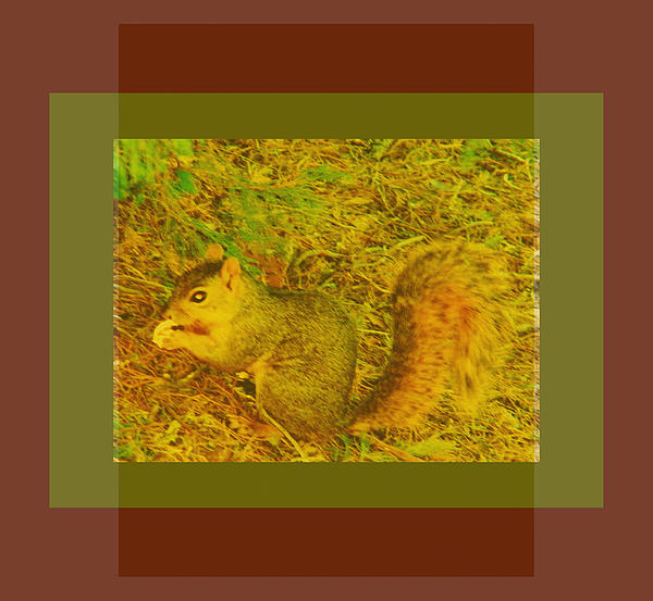 Lenore Senior - Squirrel under My Tree