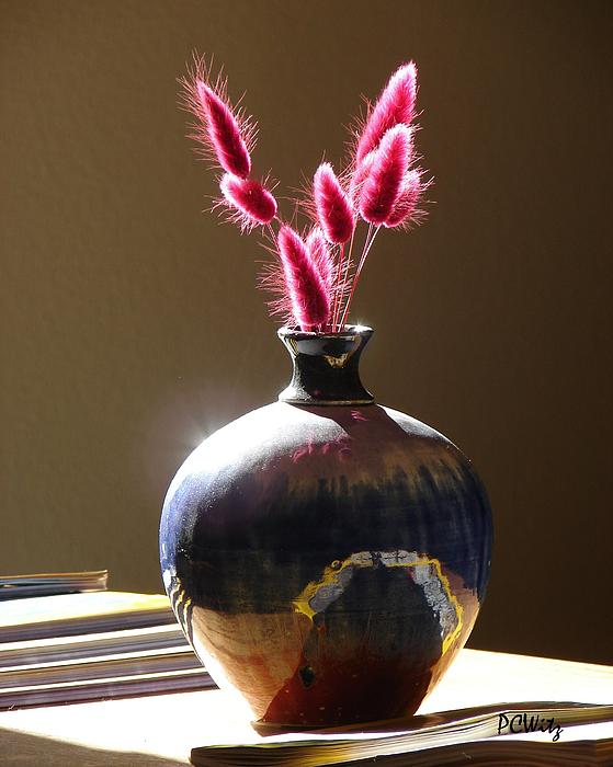 Flowers Still Life Photographs