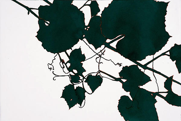 Alexandra Sheldon - Teal Grape Leaves