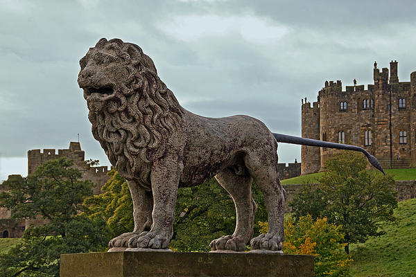 The Alnwick Lion by David Pringle