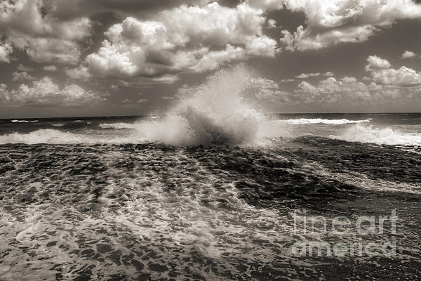 Seascape Art