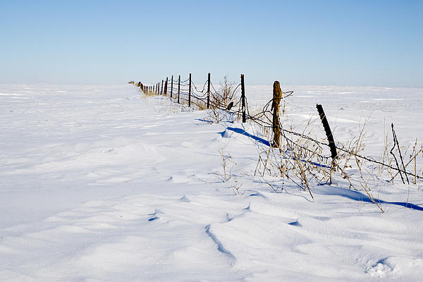 Robert Gaines - Winter Border