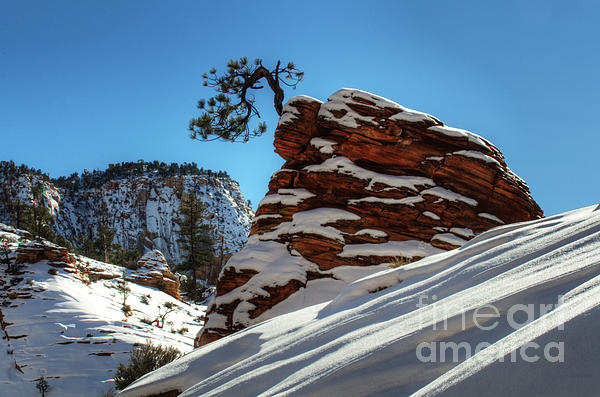 Bob Christopher - Zion National Park In Winter