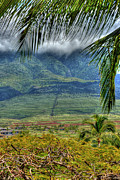  Maui Foot Hills Photograph by Arthur Fix