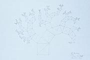 Quantum Tree Drawing by Jason Padgett Quantum Tree Drawing by Jason Padgett