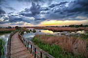 A General View Of The National Park #1 Photograph by David Santiago Garcia
