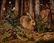 A Hare In The Forest #1 Photograph by Hans Hoffmann