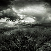 After The Storm #1 Photograph by Franziskus Pfleghart