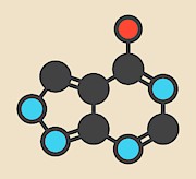 Allopurinol Gout Drug Molecule #1 Photograph by Science Photo Library
