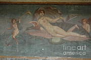 Art Of Pompeii, Italy #1 Photograph by Catherine Ursillo Art Of Pompeii, Italy #1 Photograph by Catherine Ursillo