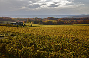 Autumn On Old Mission Peninsula  #1 Photograph by Owen Weber