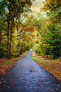 Beginning of Autumn #2 Photograph by Jai Johnson