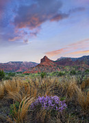 Caprock Canyons State Park Texas #1 Photograph by Tim Fitzharris Caprock Canyons State Park Texas #1 Photograph by Tim Fitzharris