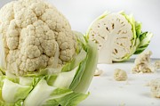 Cauliflower #1 Photograph by Science Photo Library