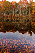 Central Pond #1 Photograph by Bryan Bzdula