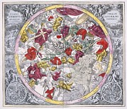 Christianized constellations, 1708 #1 Photograph by Science Photo Library