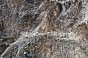 Columnar Basalt In The Grand Canyon #1 Photograph by William H. Mullins