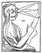 Descartes: Pineal Gland #1 Photograph by Granger Descartes: Pineal Gland #1 Photograph by Granger