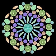 Diatom Diversity #1 Photograph by Science Photo Library