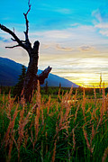 Eagle River Sunset Photograph by Kyle Lavey