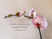 Ecclesiastes 3 11 He Hath Made Everything Beautiful #1 Photograph by Susan Savad Ecclesiastes 3 11 He Hath Made Everything Beautiful #1 Photograph by Susan Savad