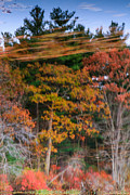 Fall Reflections #1 Photograph by Bryan Bzdula