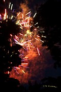 Fireworks Forest #1 Photograph by R B Harper