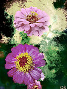 Flowers #1 Photograph by Charlie Roman