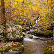Flowing Brook #1 Photograph by Tony Delsignore
