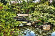 Garden Bridge #1 Photograph by Bob Kinnison