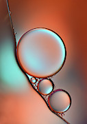 Glimmer #1 Photograph by Heidi Westum