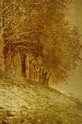Golden Landscape #2 Digital Art by Jelena Jovanovic
