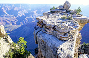 Grand Canyon, Arizona #1 Photograph by Adam Sylvester