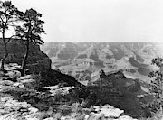 Grand Canyon, C1913 #1 Photograph by Granger