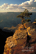 Grand Canyon #1 Photograph by George Ranalli