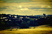 Hampstead Heath #2 Photograph by Nicky Jameson
