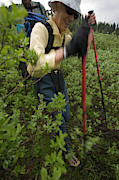 Hiking At Valhalla Mountain Touring #1 Photograph by Rich Wheater Hiking At Valhalla Mountain Touring #1 Photograph by Rich Wheater