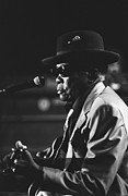 John Lee Hooker #2 Photograph by Concert Photos
