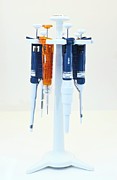 Laboratory Pipettes #1 Photograph by Science Photo Library