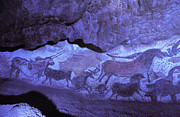 Lascaux Cave Paintings #1 Photograph by Science Photo Library