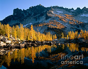 Leprechaun Lake Reflection #1 Photograph by Tracy Knauer
