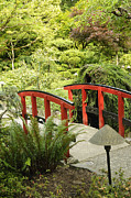 Little Red Bridge #1 Photograph by Brenda Kean
