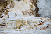 Mammoth Hot Springs, Yellowstone Np, Wy #1 Photograph by Mark Newman