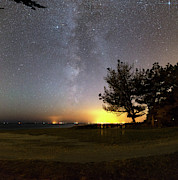 Milky Way Over Coastal Trees #1 Photograph by Science Photo Library