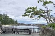 Neck Point #1 Photograph by Kathy Paynter