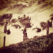 Palms Up #1 Photograph by Mark David Gerson
