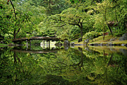 Peace #1 Photograph by Lynn Wohlers