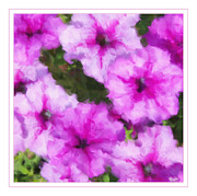 Petunias #1 Photograph by Monroe Payne