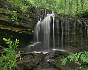 Pig Trail Falls Mulberry River Arkansas #1 Photograph by Tim Fitzharris Pig Trail Falls Mulberry River Arkansas #1 Photograph by Tim Fitzharris
