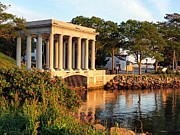 Plymouth Rock Canopy Photograph by Janice Drew